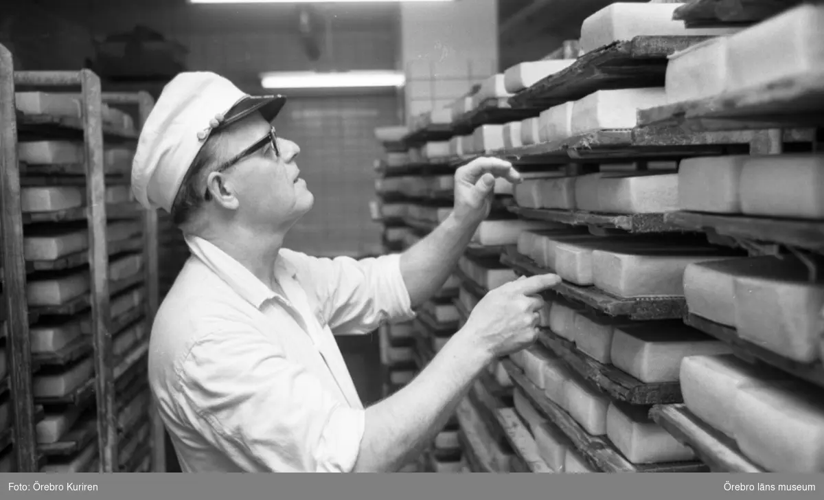 Jordbruksnummer, 12 mars 1969.

Ostmästare Helge Johansson kontrollerar att lagringen av ostsorten "regent", mognar normalt.