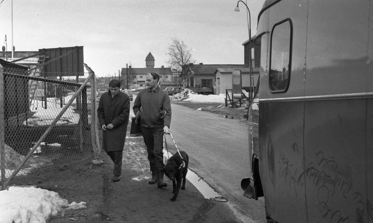 Blind kille 7 april 1966

En blind man promenerar med sin svarta ledarhund - en labrador. En man går bredvid dem på höger sida.
Vattentorn i bakgrunden.