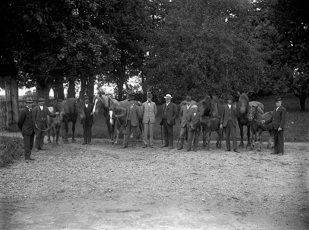Grupp tio personer och åtta hästar.