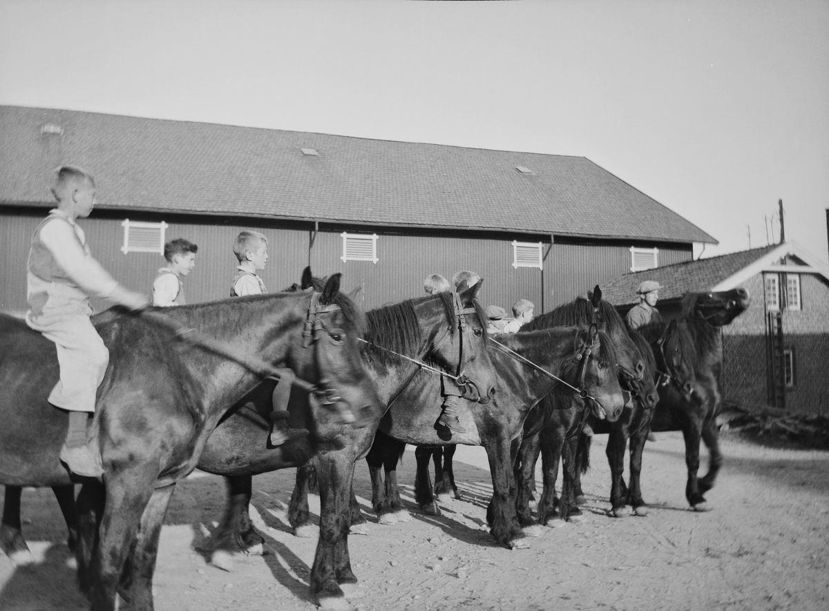 Det ser ut til å være åtte gutter på hver sin hest, som nesten står på linje, på gårdsplassen på Linderud Gård.