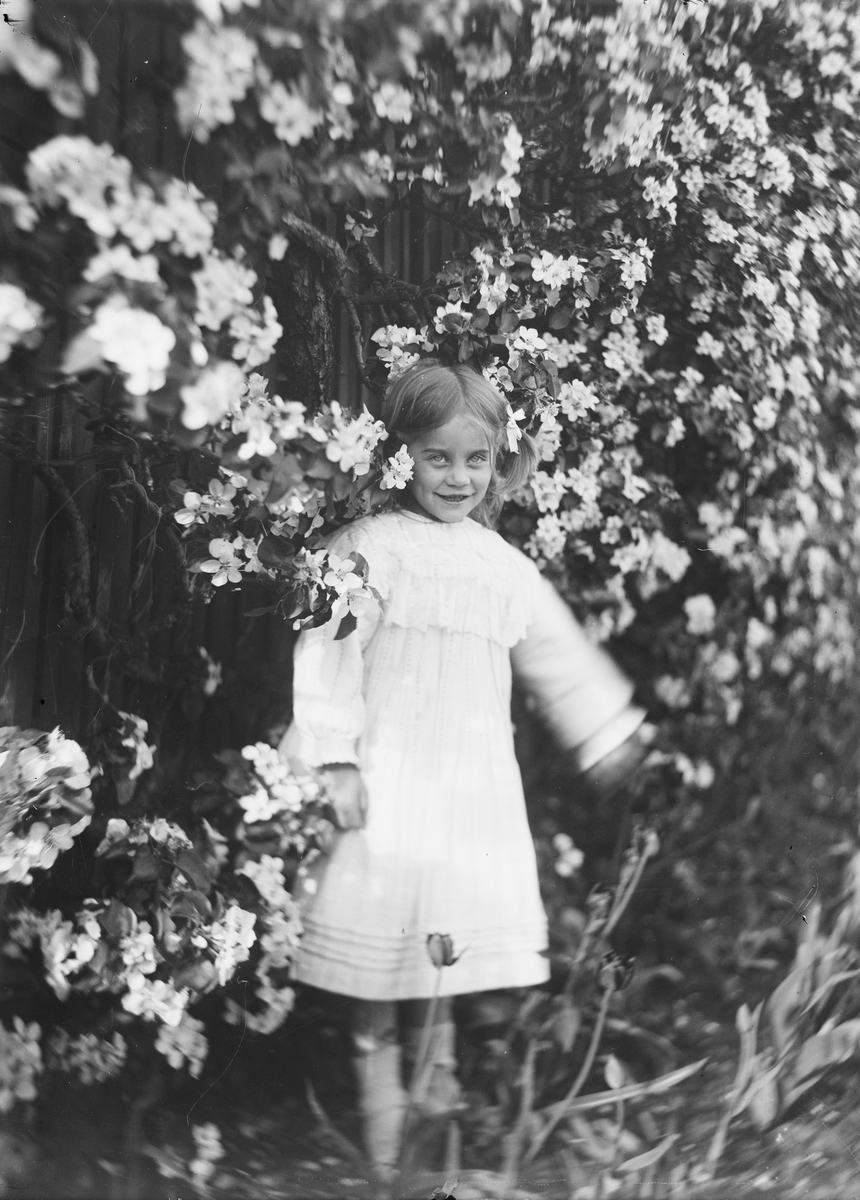 En jente, sannsynligvis Celina Marie Louse Mathiesen, er blitt fotografert ved en blomstende "vegg". Hun står i et blomsterbed med tulipaner og den "blomstrende veggen" er sannsynligvis et formet epletre i blomst.