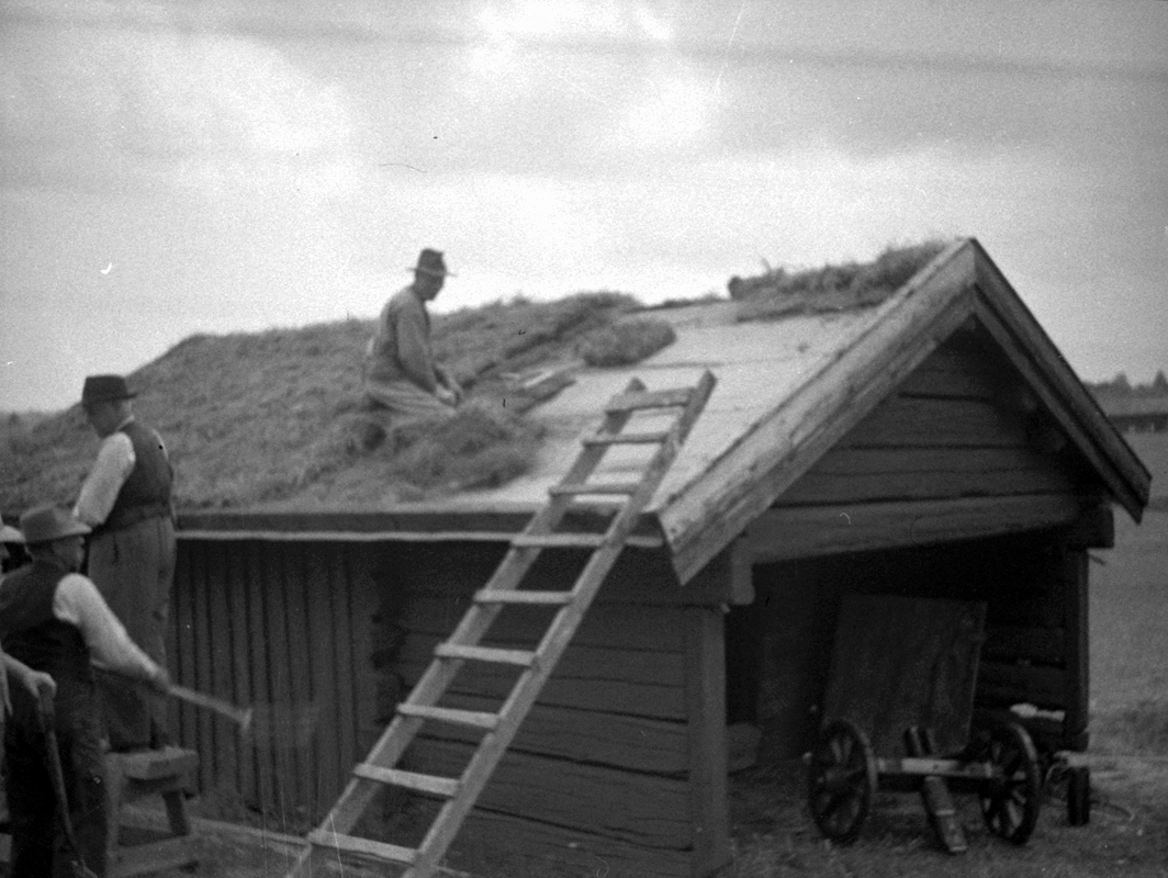 Fjugesta hembygdsgård, takläggning.
Bilden tagen år 1954.