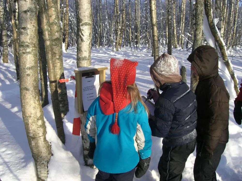 Foto av tre barn som løser natursti spørsmål