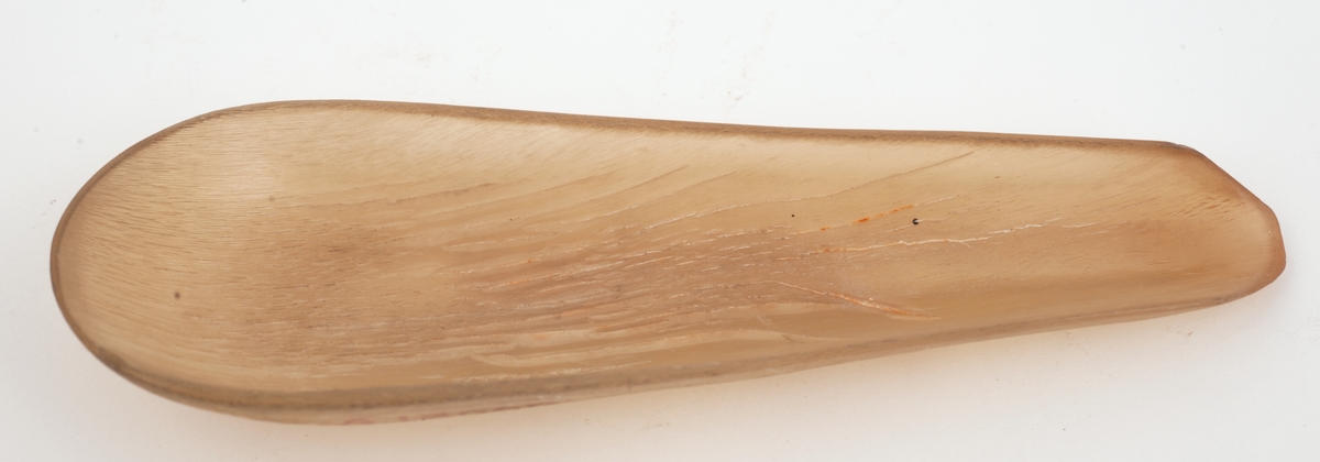 En båtlignende form av horn med den ene enden noe smalere og flatere for lettere å kunne dyttes inn i en papirkapsel.
Lys brun med lysere striper.