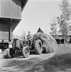 Høyonn på Kyken gård, Kløfta.