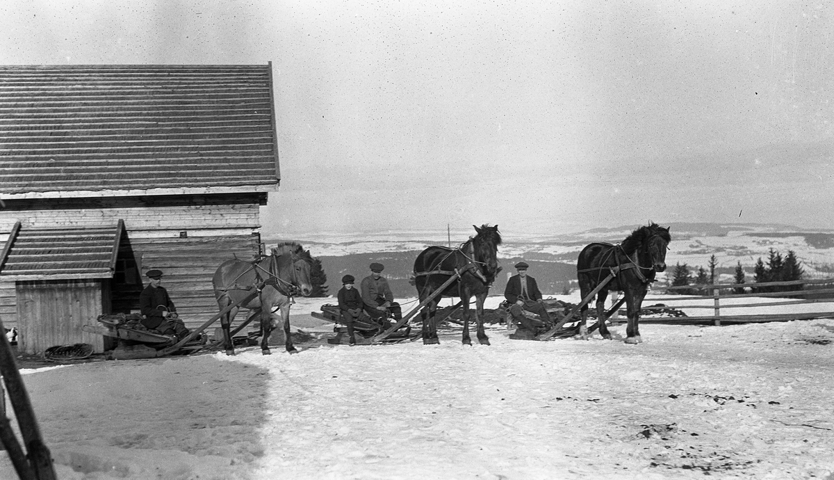 Tre hesteskysser klare for ved-/tømmerkjøring med rustning. Ganske sikkert fra bruket Røysli i Øverskreien, Østre Toten, ca. 1920.