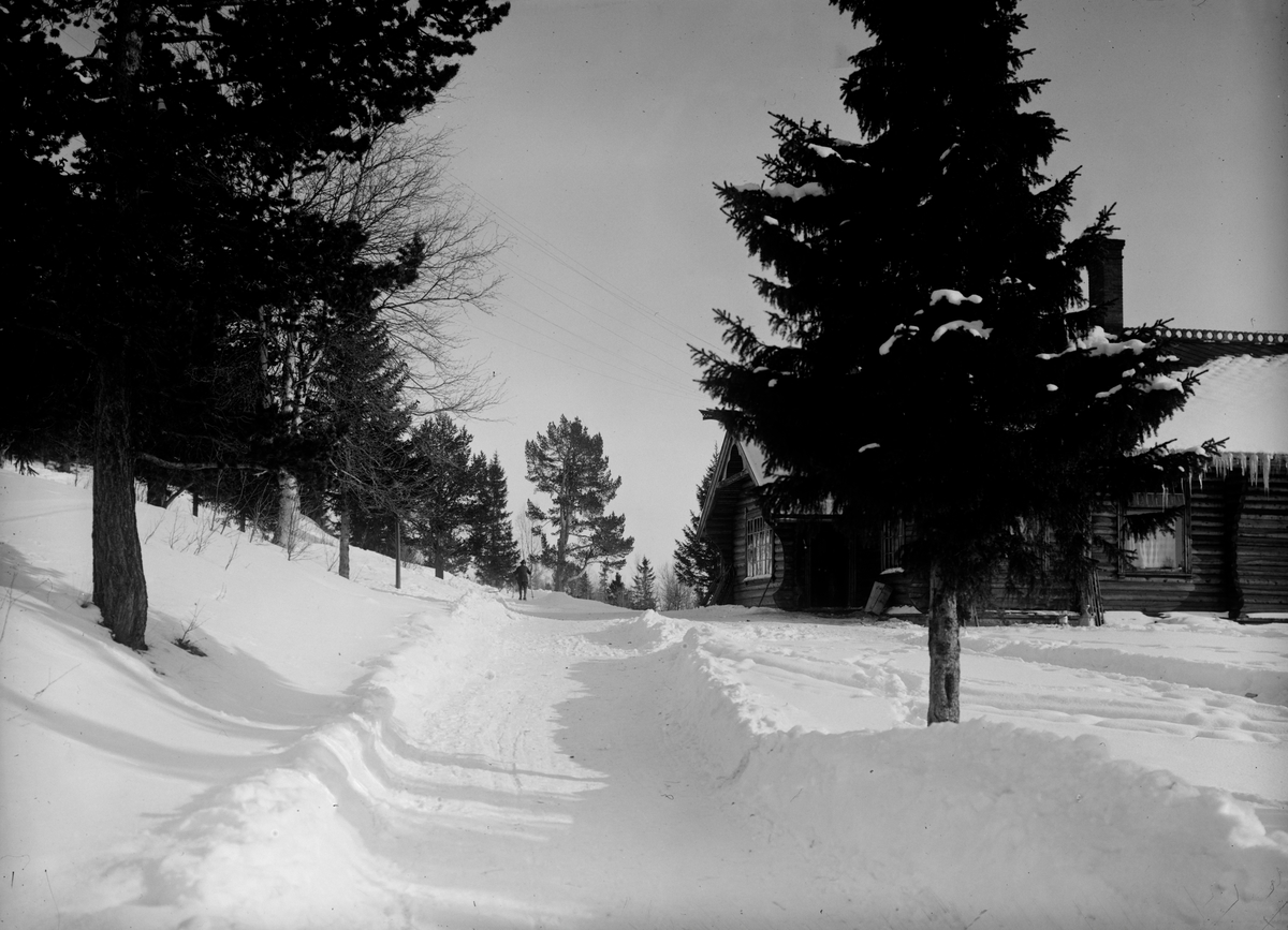 Fefor, 12.03.1914, Fefor Høifjellshotell, vinter