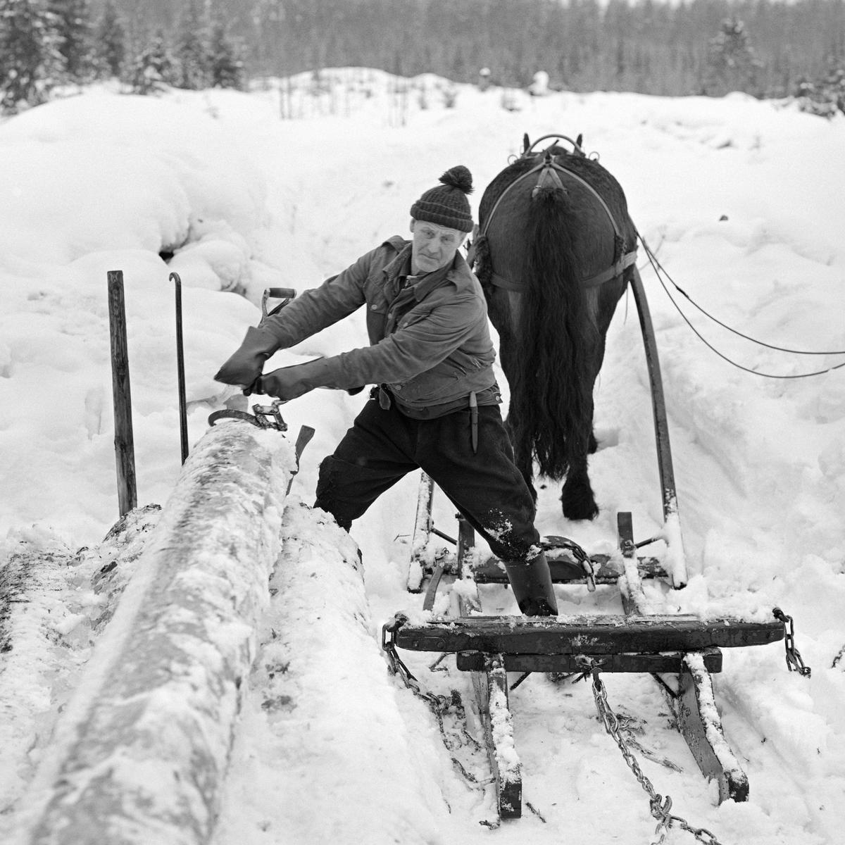 Skogsarbeider Johan Rasch i Svartholtet, Elverum, 1975 (Foto/Photo)