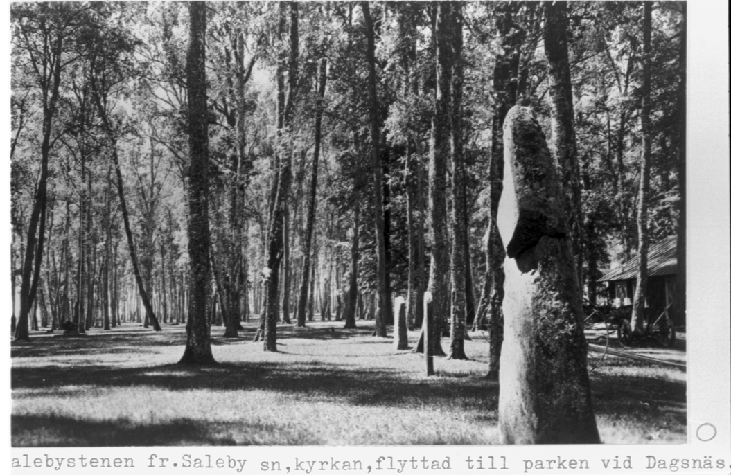 Salebystenen, flyttad till parken vid Dagsnäs. Vg:s runinskr, nr 67.