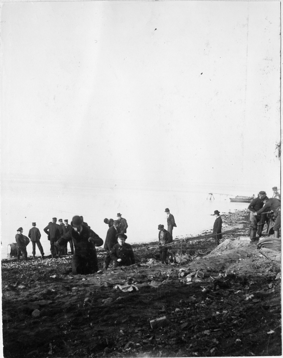 Kabelutläggning Hälsingborg (Helsingborg)- Helsingör 15/11 1902.