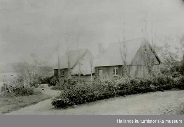 Exteriör av Bexellska ryggåsstugan, "Bålastugan", då den låg vid Göingegården i Lindberg utanför Varberg. Den flyttades dit år 1879 från sin ursprungliga plats i Harplinge på Kulsegård i Särdals by. Kanske är detta fotografi en dokumentation inför flytten till Torstorp i Grimeton påföljande år, 1890.