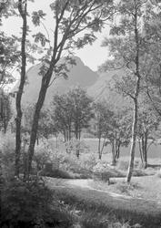 Fru Haugans Hotel i Mosjøen