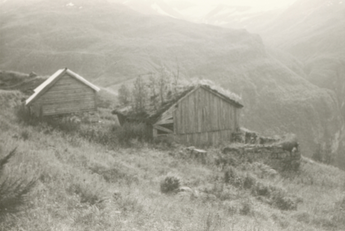 Dokumentasjonsbilder i serie av noen gamle bygninger og hustufter i Gomsdalen i Geirangerfjorden.