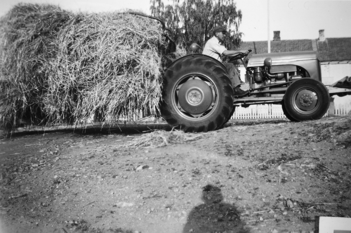 Opsahl, store,  79-1, Vang H. Slåttonn, innkjøring av høy, traktor, ca. 1955. Syver Opsahl f. 1915 på traktoren.