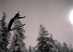 Hopping i Persløkka