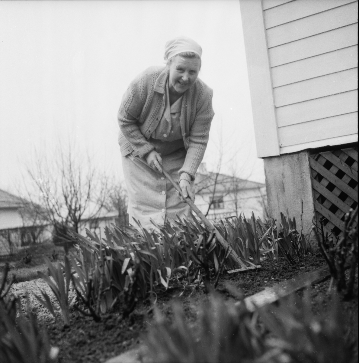 Vardens arkiv. "Vår-reportasje"  06.05.1954