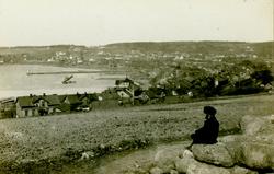 Oversiktsbilde fra Moss og Værlebukta. Utsikt fra Teglverksj