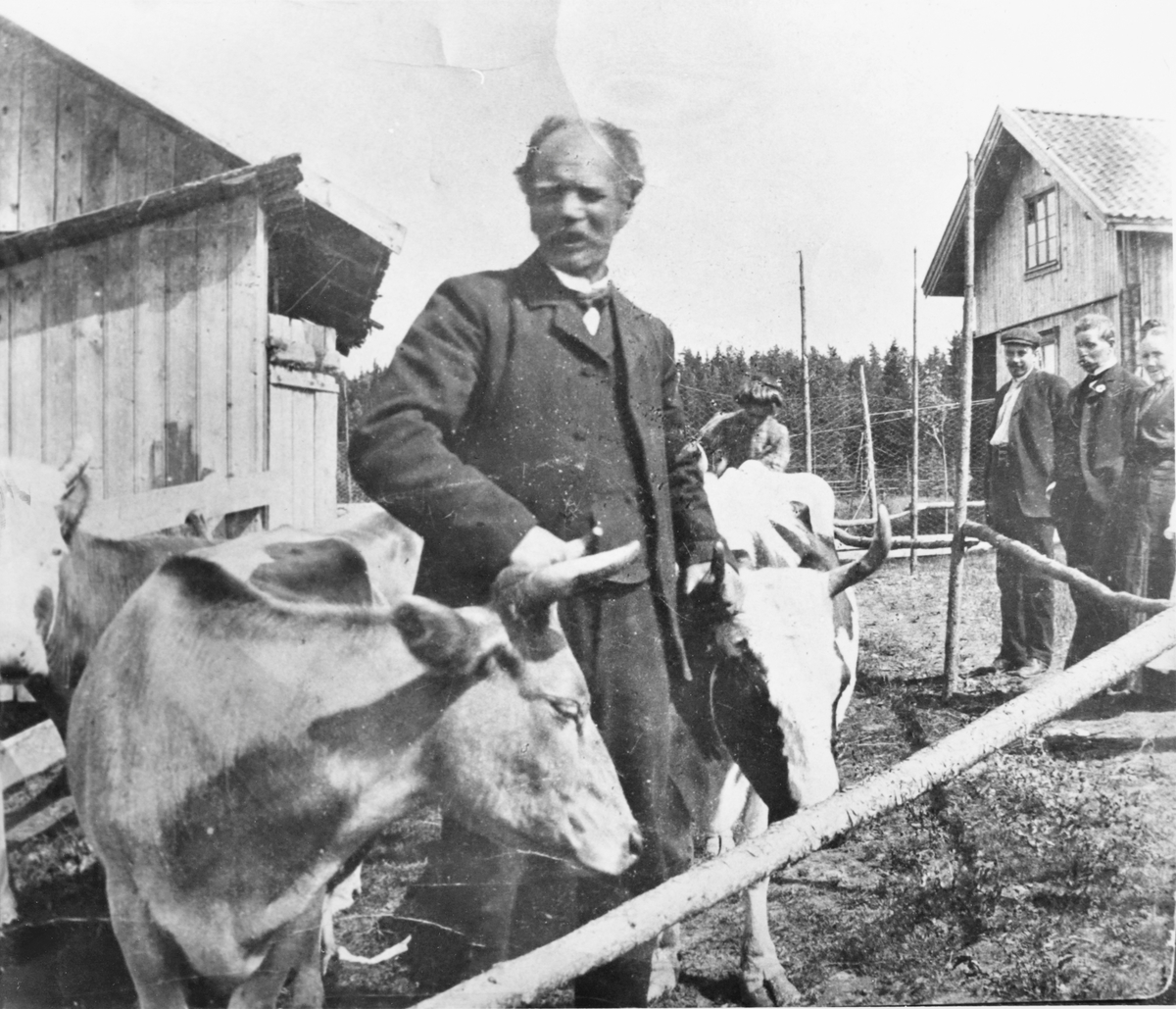 Andreas Hellerud på tunet på gården Hellerud i Blaker, ca. 1911.