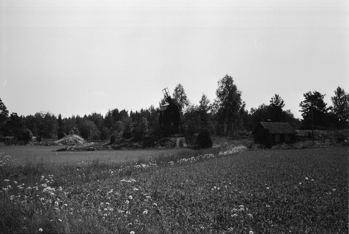 Väderkvarn, Vittja 3:6, Tuna socken, Uppland 1987