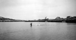 Foto muligens fra Smøla med sjøen i forgrunnen og naust og b