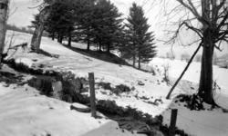 Vinterbilde fra
Eidsvåg i Romsdal. Fotograf er Georg Sverdru