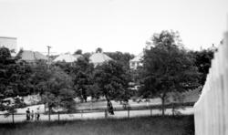 Trolig fra Langveien i Kristiansund. Fra Nordmøre Museums fo