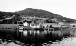 Foto fra Halse i Halsa kommune, hvor vi ser brygger, naust o