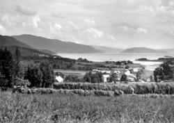 Foto fra ei bygd, muligens i Nesset kommune. Datering er san