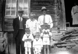 Foto fra Vistdalen i Nesset kommune, hvor vi ser flere fra f