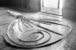 museumsraritet fra sjøfolk - FOto trolig av en stor og mange