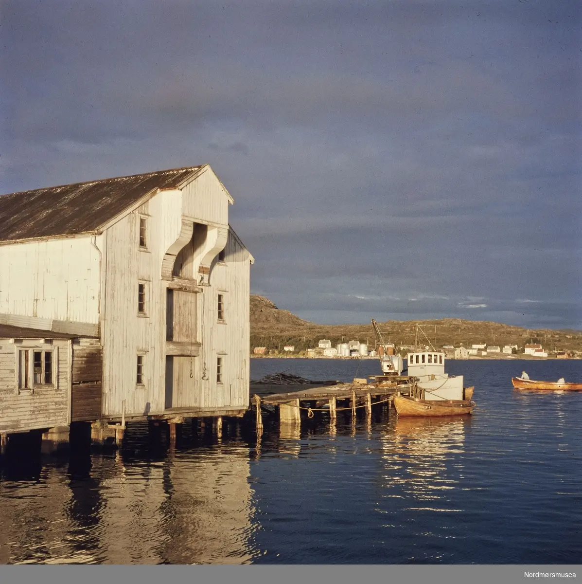 Dette er den gamle brygga til Sandvik på Skorpa. Firmaet Sandvik &amp; Øyen, Kristian Sandvik og Olaf Øyen, drev fiskemottak og røykeri der. De tok også imot krabbe som
ble rensket og eksportert. Pigghå
ble eksportert til
England. Til venstre, det lave bygget, er egnersjåa. Båten med det hvite overbygget er Sandvik og Øyens fraktebåt ";Neptun";. Gutttene på Skorpa var ofte med den ut til Grip og hentet fisk. I bakgrunnen ser vi begyggelsen og tankene på Dale. Portfoliodias fra fotograf Nils Willams sitt arkiv.

Allerede for flere tusen år tilbake har folk lagt igjen spor på Skorpa som ligger ved det nordligste innløpet til Kristiansund. Det er funnet flintredskaper og økser på de gamle boplassene. Hule hadde de også her. Senere kom sjørøverne fra Dunkerque seilende inn Dunkarsundet for å herje i byen på midten av 1500-tallet. Folk var også bosatt tidlig her ute. I 1621 kan vi se at barnefaren Seier fra Skorpa måtte møte for biskopen og Arnt Dunkersund var på denne tiden en av de første loser i byen. Under krigen 1807-1814 var det satt opp optisk telegraf på det høyeste punktet Telegrafhaugen på Skorpa. Herfra kunne de sende og motta meldinger nordover til Trondheim. Området Skorpa, Meløya, Håskjærene og Langfallet hørte til gården Strand på Gomalandet og var rikt på fugl og dun. Det ble fredlyst i 1821. Kristiansunds første bruer ble i 1911 satt opp her mellom Bentnesset, Meløya og Skorpa. Hengbrua over Meløysundet og badebassengene i Valan på Skorpa, var en attraksjon og et turmål for mange. Befolkningen her ute har hatt sitt yrke hovedsakelig til sjøen både som sjøfolk, fiskere, og i arbeid med fisk på forskjellige vis. Klippfiskberg var det både på Skorpa, Meløya og Bentnesset.

Nordmøre Museums fotosamlinger.



