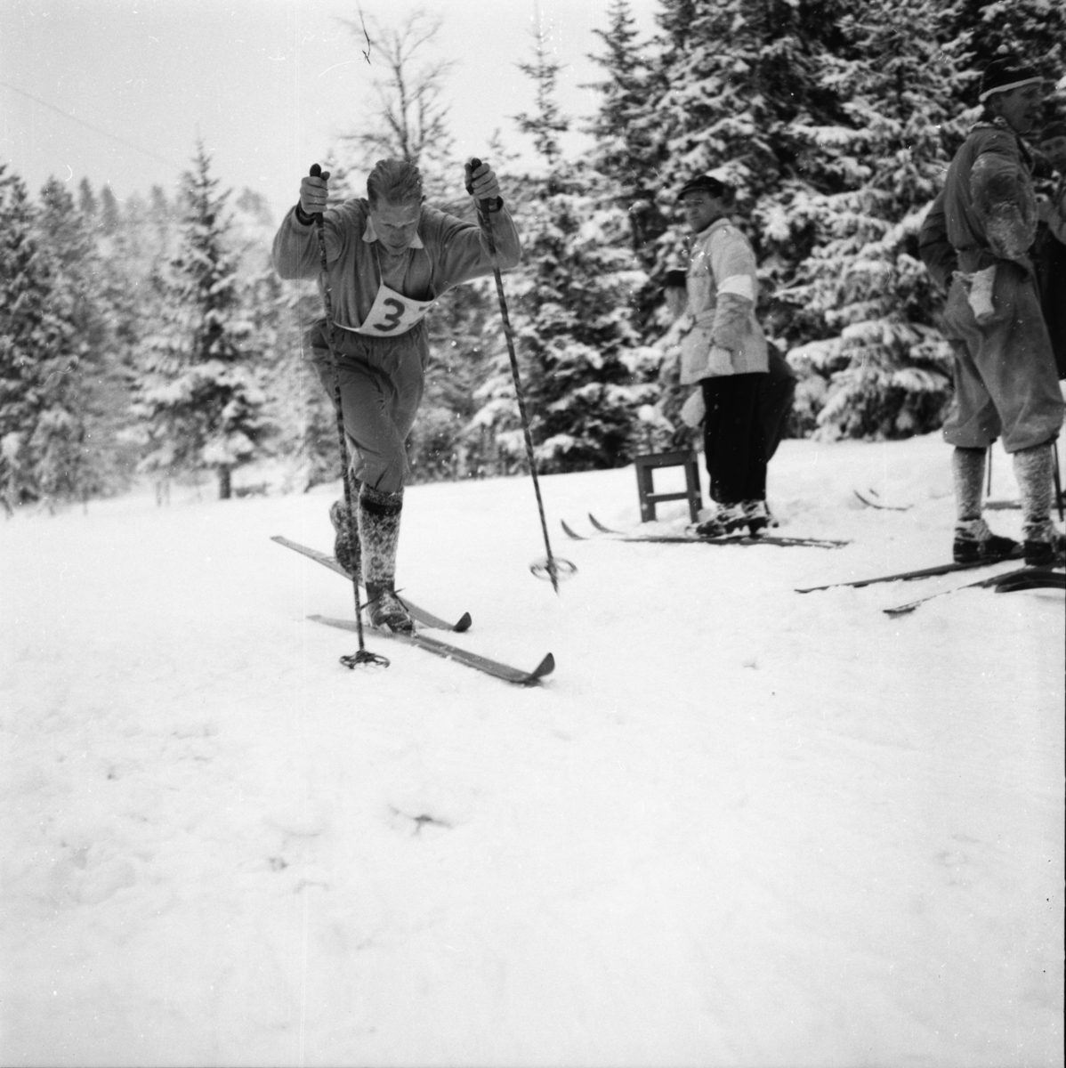 Vardens arkiv. "Politimesterskapet"  09.02.1954