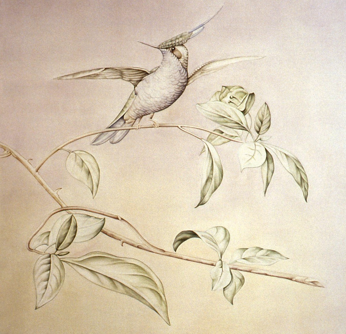 Verket består av 5 paneler montert samlet. 
Motivet i midten viser en sumpplante (venus flytrap) i landskap. På hver side er det avbildet pseudogotisk akantus ranke, og helt ytters på hver side en kolibri/foliage sittende på en gren, på monokrom fargeflate.