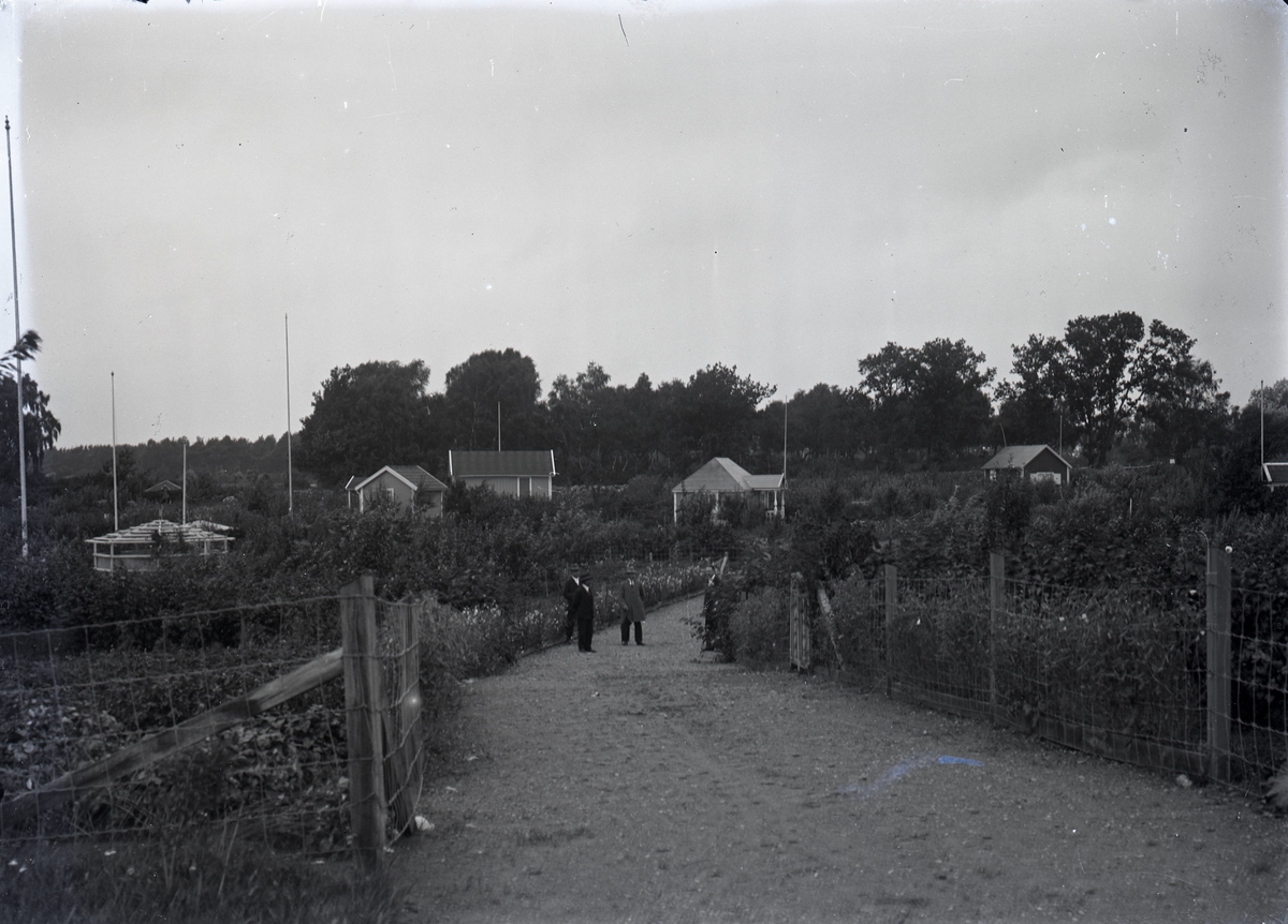 Kalmar södra koloniområde, omkring 1930.