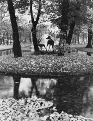 24 okt 1968. Foto: P.A. Røstad.