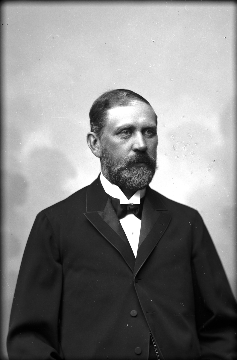 Kamrer Axel Andersson, 1894.
Fotograf okänd.