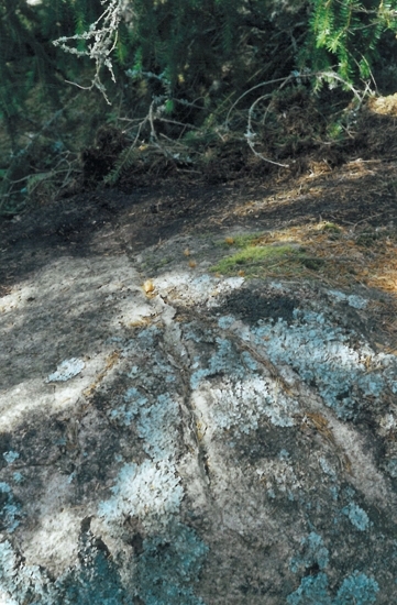 Foto av gränsmärke kallat Grävlingekullen/Grävlingakullen, bestående av en jordfast sten. På ovansidan är en inhuggen norrpil.                  
Raä 165 b, 2010-11-24, reg i FMIS