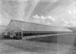 Moums gartneri på Strindheim