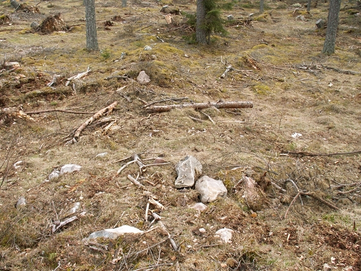 Stensträng
Foto av stensträng, som delvis begränsar området med fossil åkermark i väster.
Raä 96 1 b, 2006-04-21