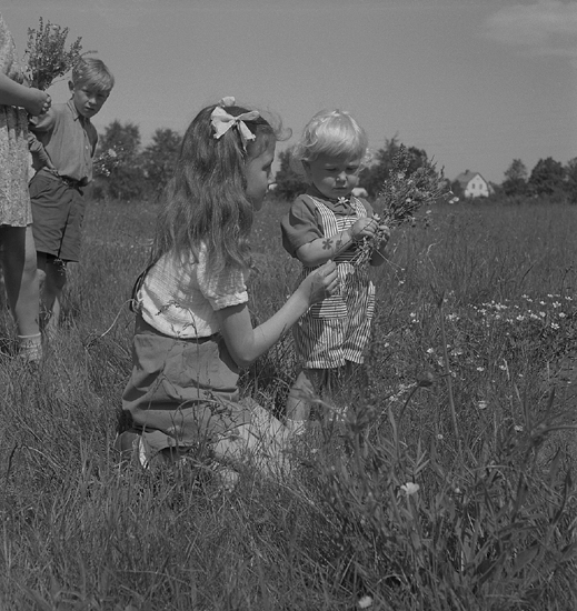 Midsommardansen, 23/6 1946. 
En flicka hjälper en liten pojke att plocka några blommor. I bakgrunden
skymtar ett bostadshus.