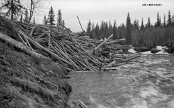 Utislag i elva Lebba, ved et sted som kalles Svanvollan, i S