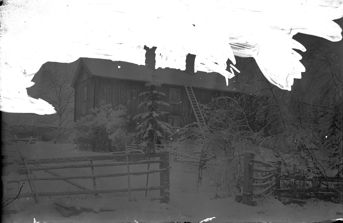 Stenshyttan nr 3, gårdshus med trädgård. Foto 1926.