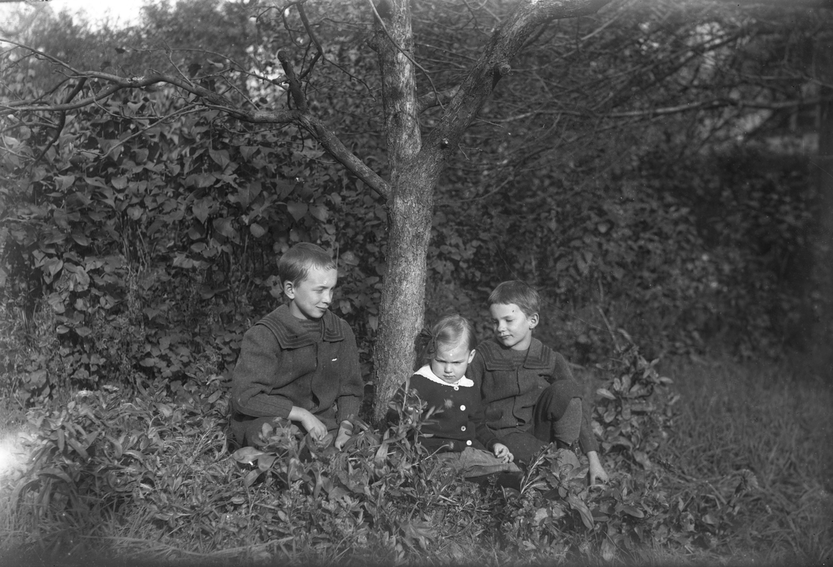 Tre barn under ett träd.