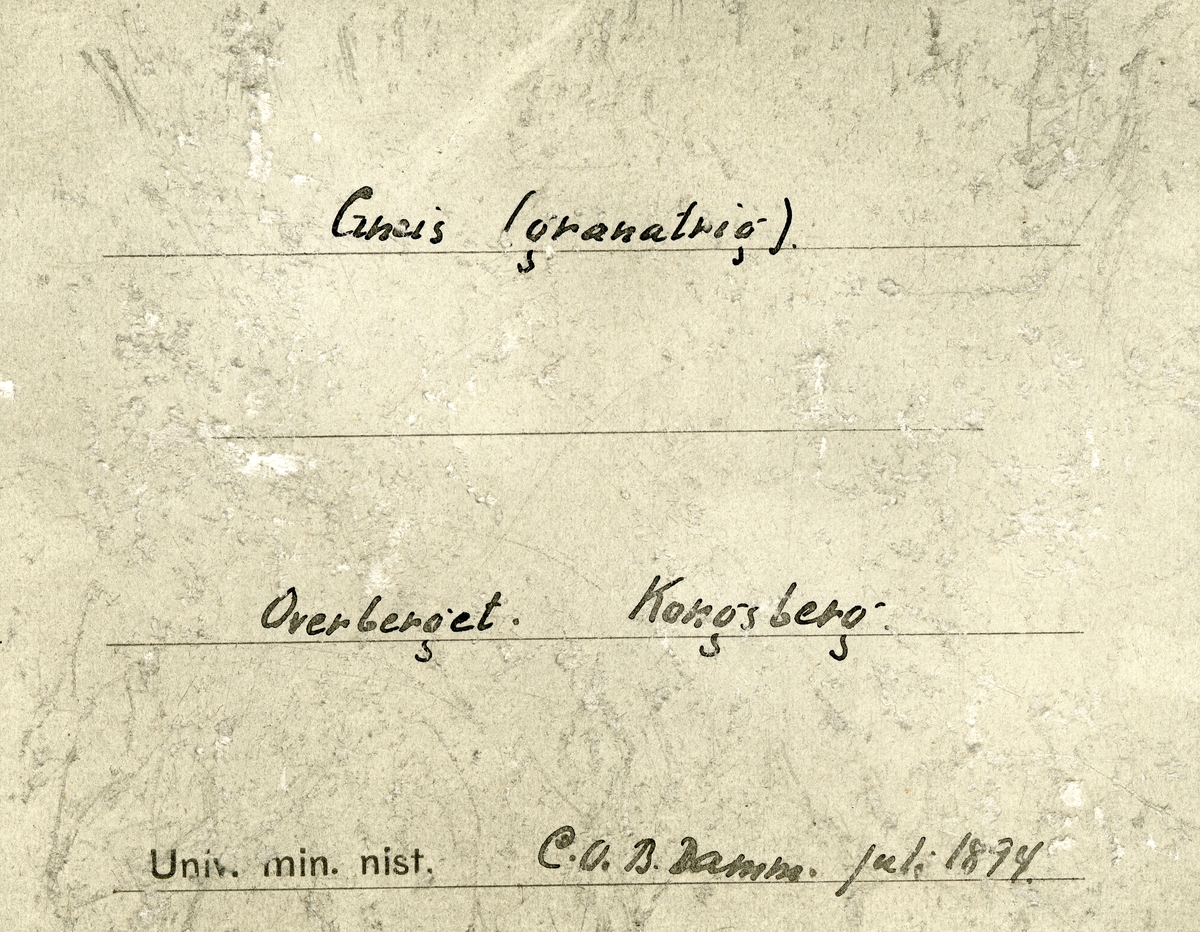 Etikett i eske:
Gneis (granatrig)
Overberget. Kongsberg
C.O.B. Damm. Juli 1894.