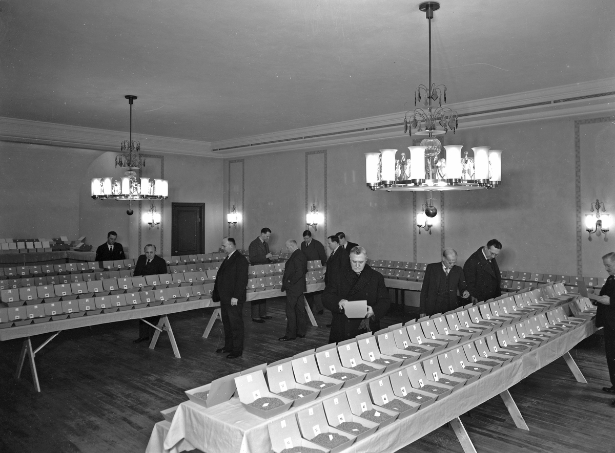 Riksfröutställningen
Hushållningssällskapet
Odd Fellow lokalen

10 februari 1937