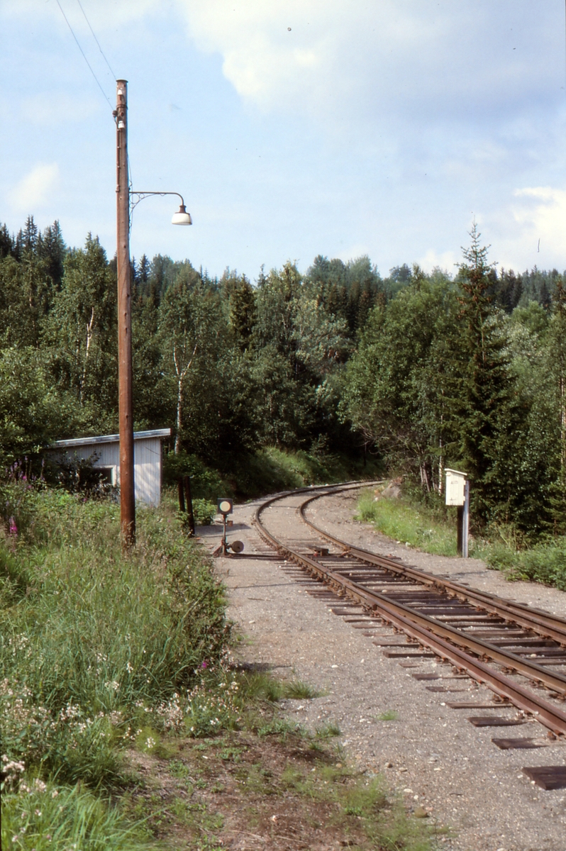 Sporveksel 2 på Etna stasjon, Valdresbanen.