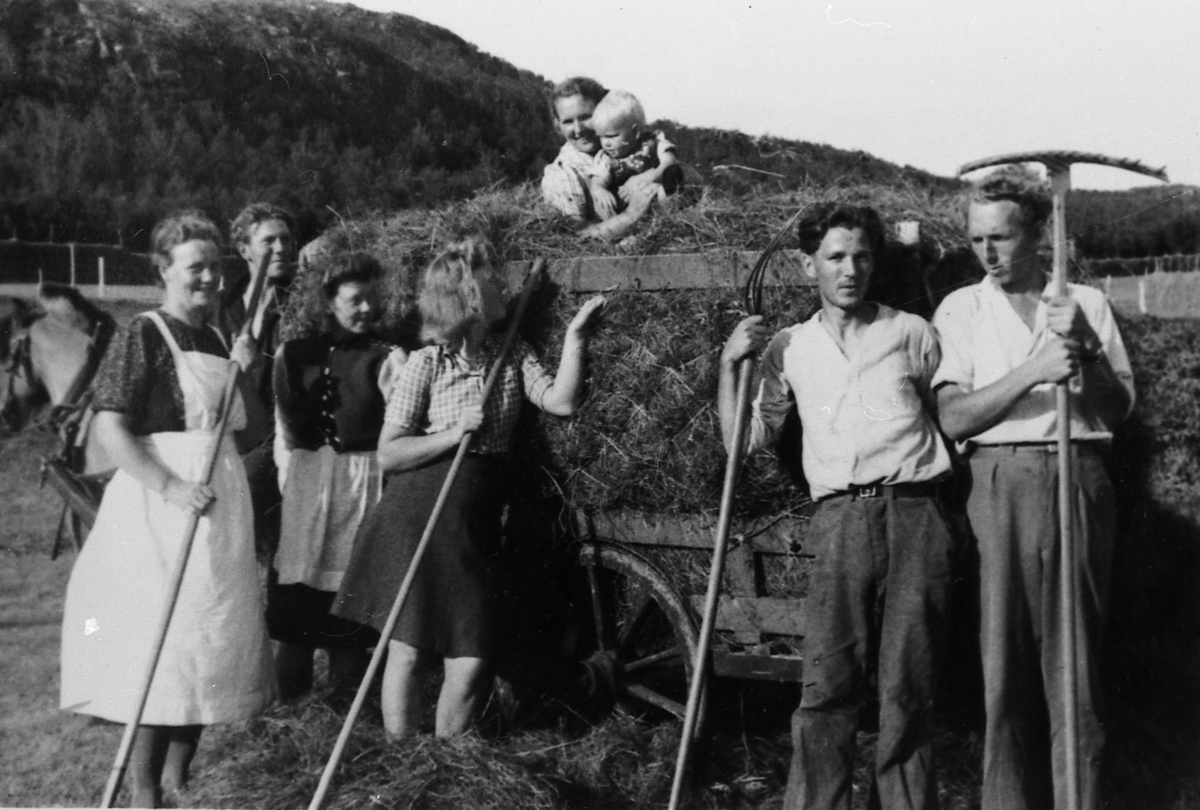 Tørrhøykjøring i Grønvika, Å i Senja 1944