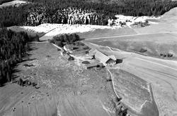 Skråfoto av gården Buer i Rakkestad, 22. juli 1951.