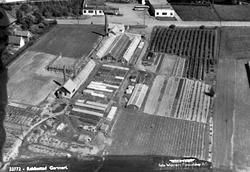 Lundquist Gartneri eller Rakkestad Gartneri i Rakkestad, skr