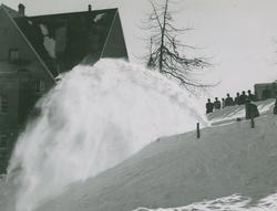 Album av Colbjørnsen & Co A/S i perioden fra 1936-1950 talle